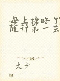 母上攻略 竹影随行第一主板