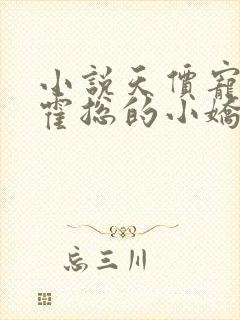 小说天价宠妻:霍总的小娇妻