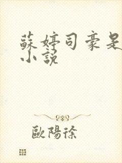 苏婷司豪是什么小说