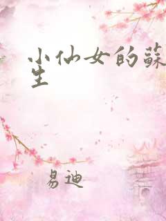 小仙女的苏撩先生