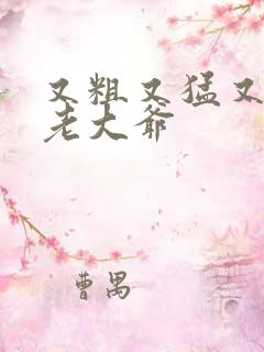 又粗又猛又大爽老大爷