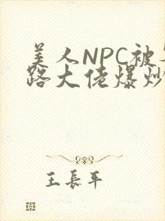 美人NPC被各路大佬爆炒小说