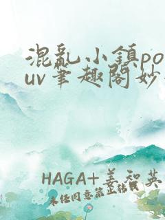 混乱小镇popuv笔趣阁妙妙