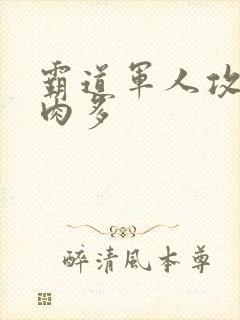 霸道军人攻现代肉多