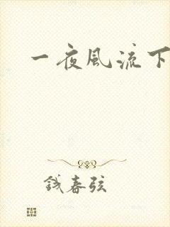 一夜风流下载