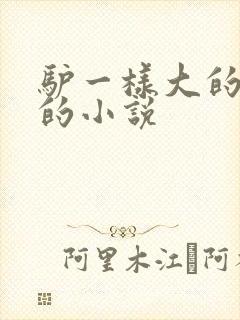 驴一样大的凶器的小说