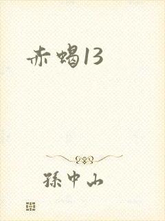 赤蝎13