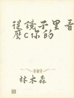 从镜子里看我怎么c你的