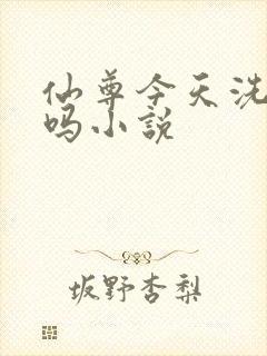 仙尊今天洗白了吗小说