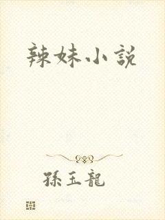 辣妹小说
