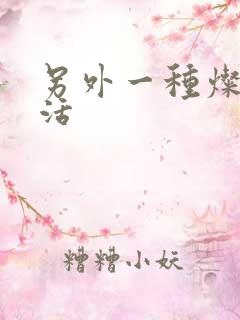 另外一种灿烂生活