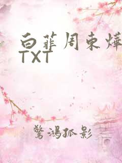 白菲周东烨小说TXT
