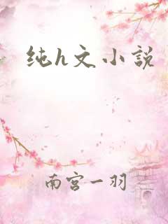 纯h文小说