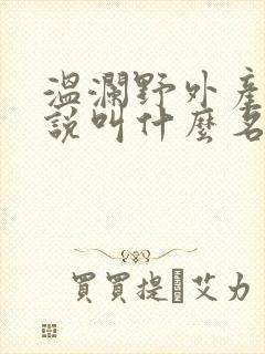 温澜野外产子小说叫什么名字