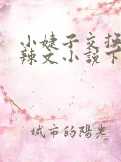 小婕子交换系列辣文小说下载