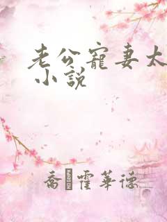 老公宠妻太甜蜜 小说