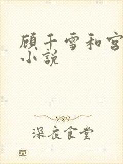 顾千雪和宫凌沨小说