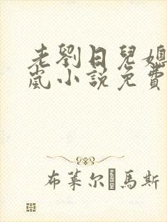老刘日儿媳妇张岚小说免费阅读