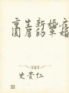 重生新婚夜正在圆房的军婚