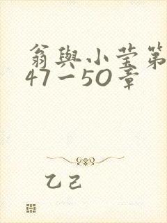 翁与小莹第十部47一5O章