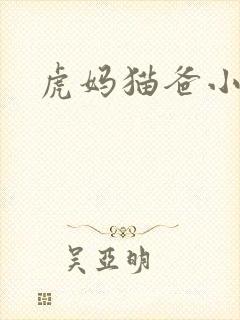 虎妈猫爸小说