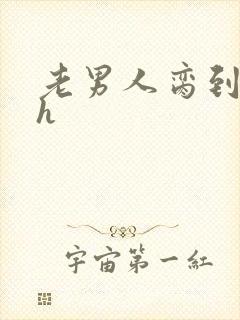 老男人脔到她哭h