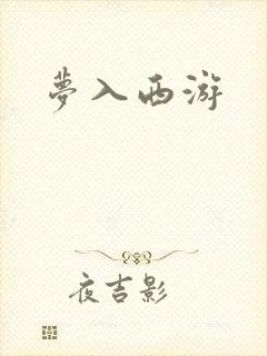 梦入西游