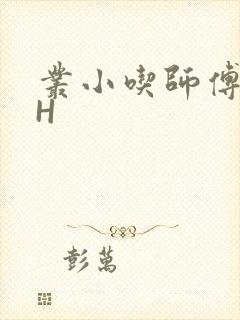 丛小吃师傅的HH