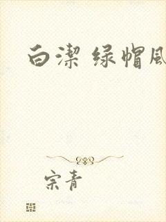 白洁 绿帽风云
