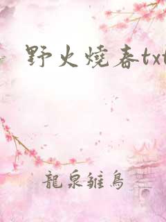野火烧春txt