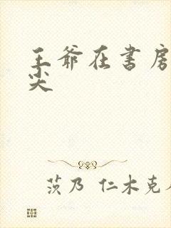 王爷在书房含乳尖