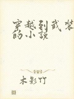 穿越到武装少女的小说