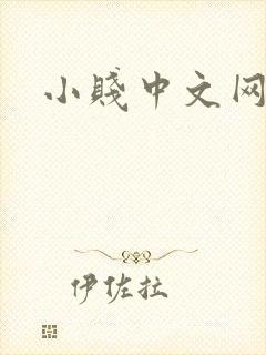 小贱中文网