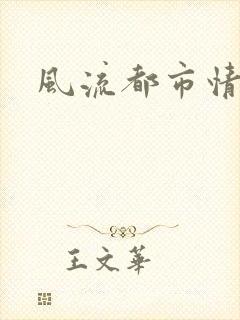 风流都市情