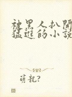 被黑人扒开双腿猛进的小说