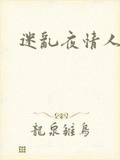 迷乱夜情人