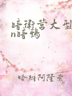 暗卫营大型hpn暗鸦