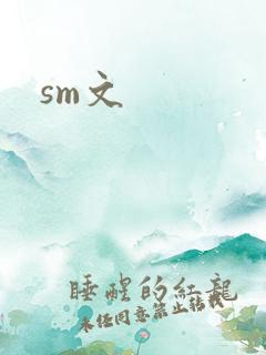 sm文