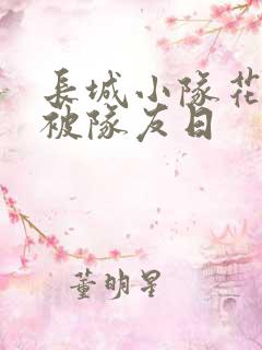 长城小队花木兰被队友日