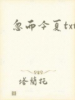 忽而今夏txt