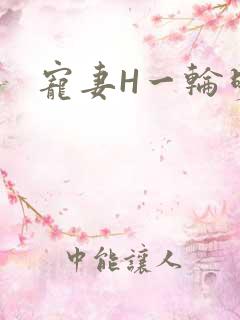 宠妻H一轮明月