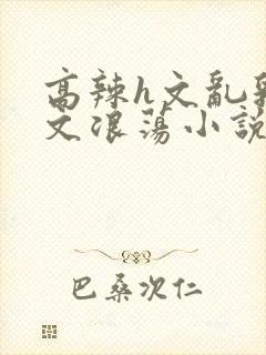 高辣h文乱乳h文浪荡小说苏瑾瑶