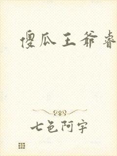 傻瓜王爷睿智妃