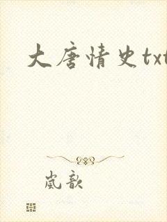 大唐情史txt