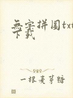 无字拼图txt下载