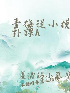 青梅从小摸到大补课h