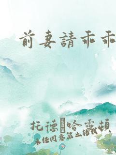 前妻请乖乖就范