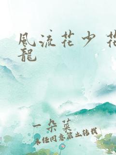 风流花少 花睿龙