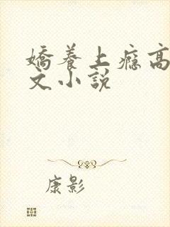 娇养上瘾高H爽文小说