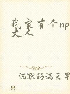 我家有个npc大人
